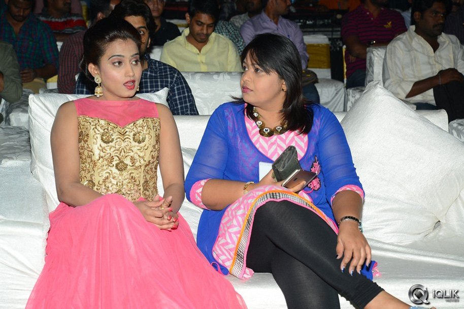 Tungabhadra-Movie-Audio-Launch